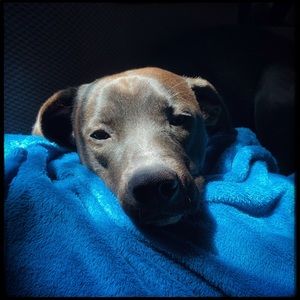 Meet your Posher, Beth